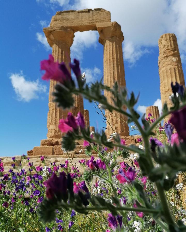 Tesori Di Girgenti Bed & Breakfast Agrigento Luaran gambar